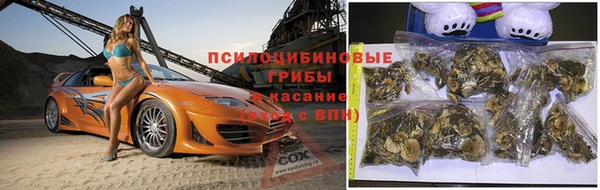 PSILOCYBIN Армянск